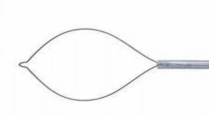 Polypectomy Snare