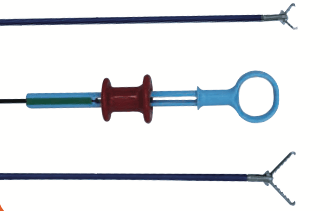 Tiger Teeth Forcep