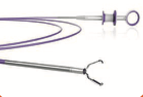 Gastrointestinal Endoscopic Clip